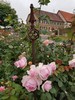 Blühende rosa Rosen mit Dekoelement