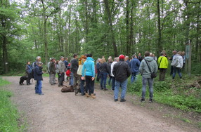 Wandergruppe im Wald bei einer Exkursion