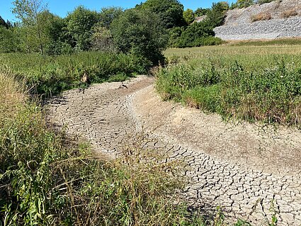 Tockengefallener Bach Trockengefallenes Bachbett