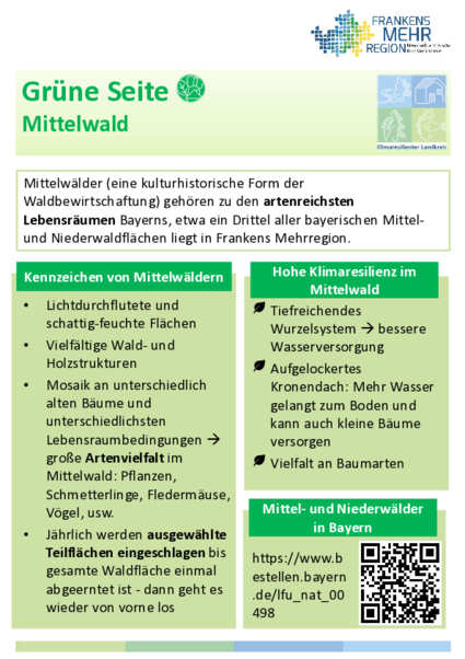 Grüne Seite: Mittelwald